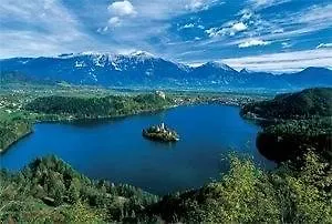 Garni Jadran - Sava &